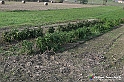 VBS_7677 - Andare lontano, oltre i campi da arare... e ancora più in là